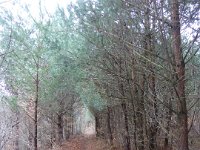 Sortie St Valentin 14 02 2016 (5)